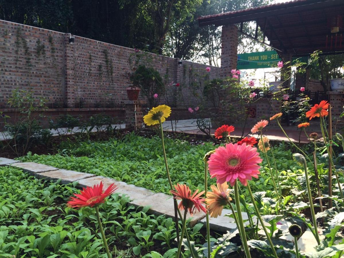 Tam Coc Craft Homestay Ninh Binh Habitación foto